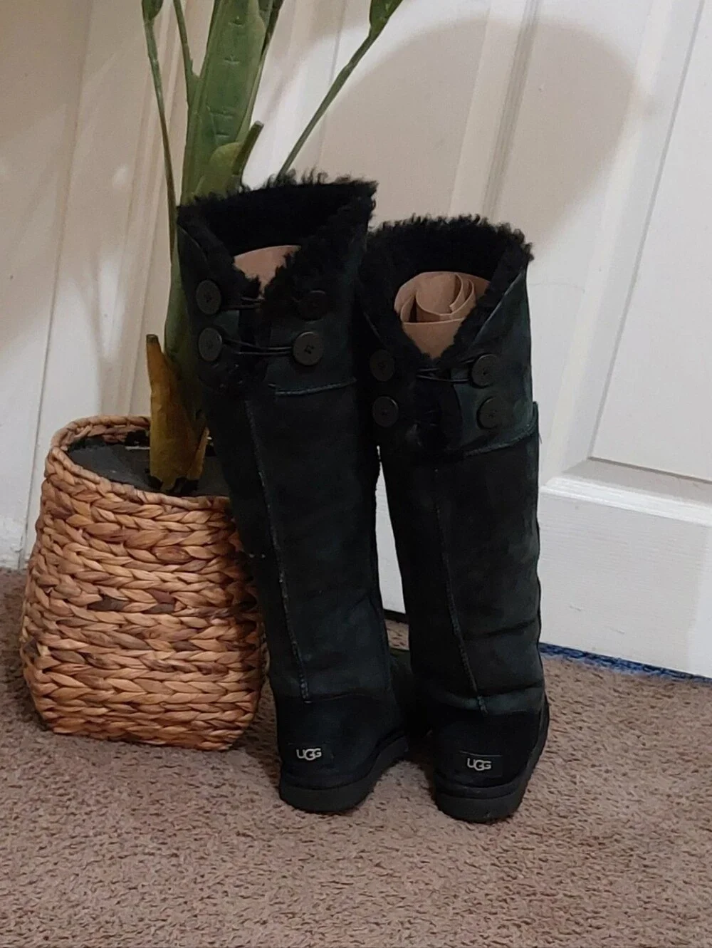 UGG Over-the-Knee Suede Boots Size 6